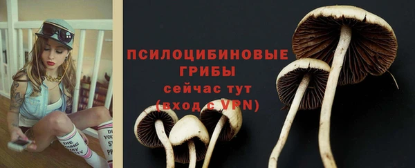хмурый Всеволожск