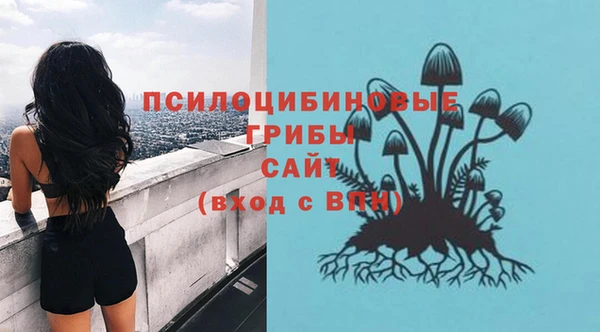 твердый Няндома