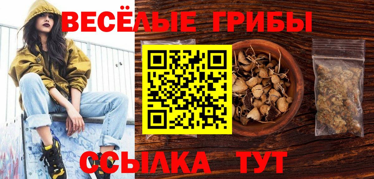Волгоград  Галлюциногенные грибы Magic Shrooms  Вход с VPN 