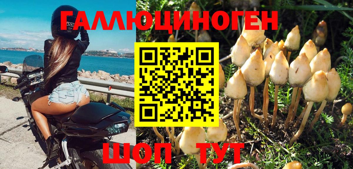 Галлюциногенные грибы мицелий  Волгоград 