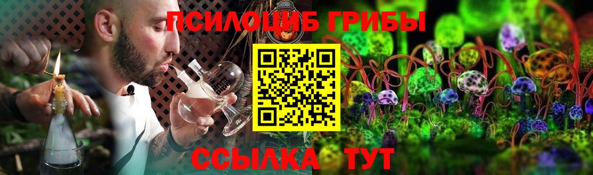 Псилоцибиновые грибы Psilocybine cubensis Волгоград